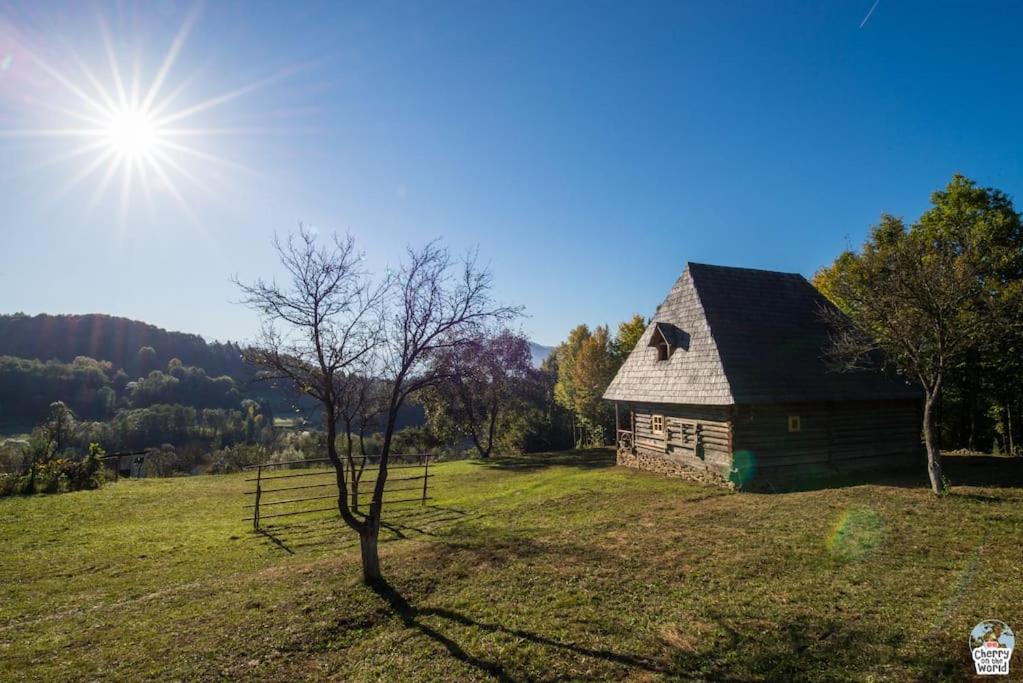 Casa Valea Vinului-traditional house in Maramureș, photo 50