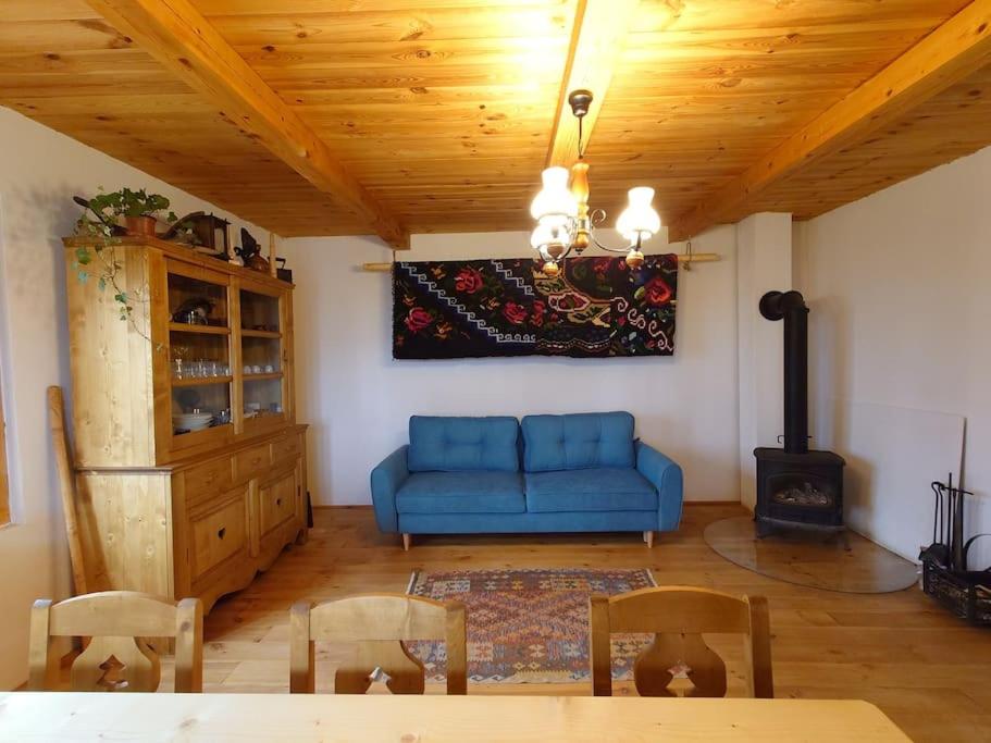 Casa Valea Vinului-traditional house in Maramureș
