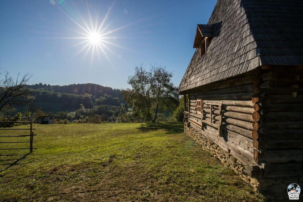 Casa Valea Vinului-traditional house in Maramureș, photo 59