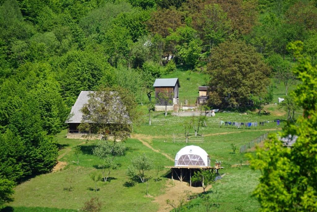 Casa Valea Vinului-traditional house in Maramureș, photo 31
