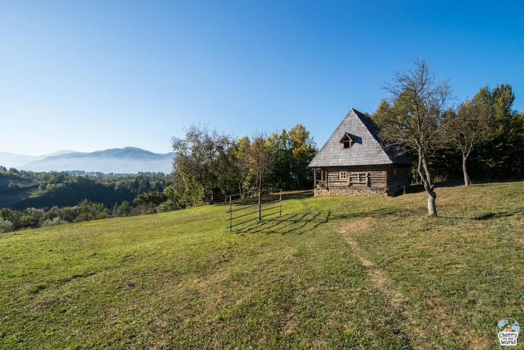 Casa Valea Vinului-traditional house in Maramureș, photo 16