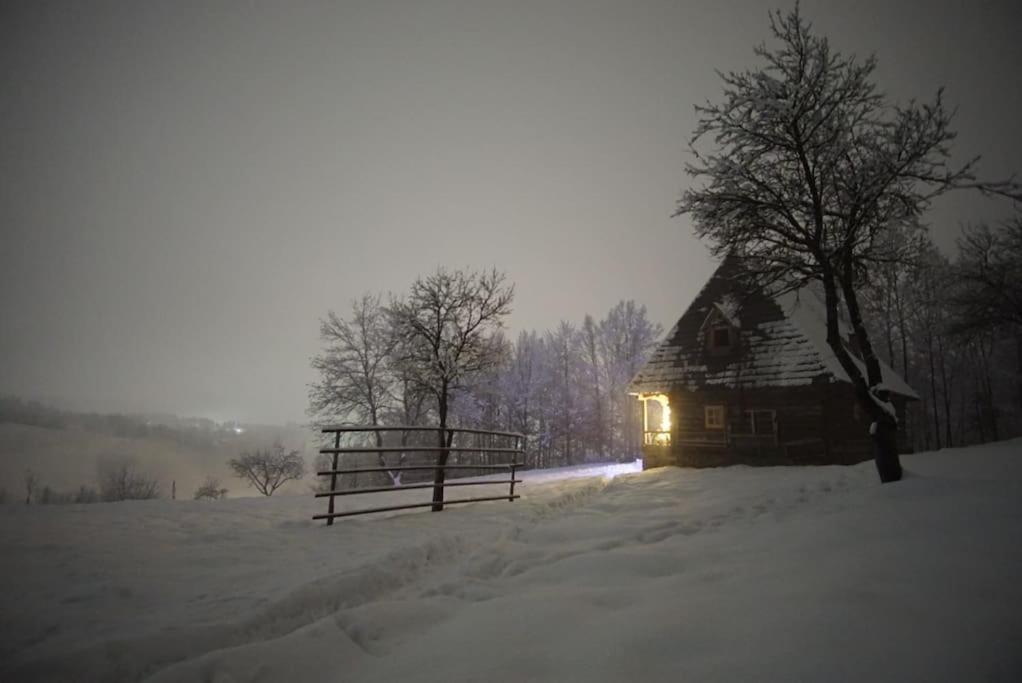 Casa Valea Vinului-traditional house in Maramureș, photo 54
