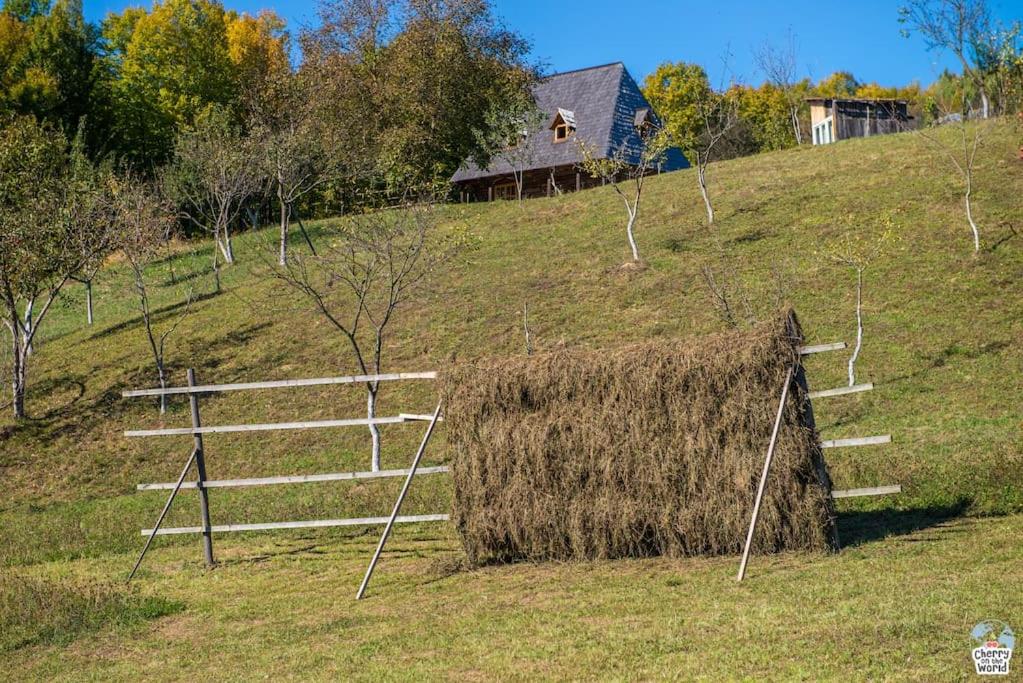 Casa Valea Vinului-traditional house in Maramureș, photo 15