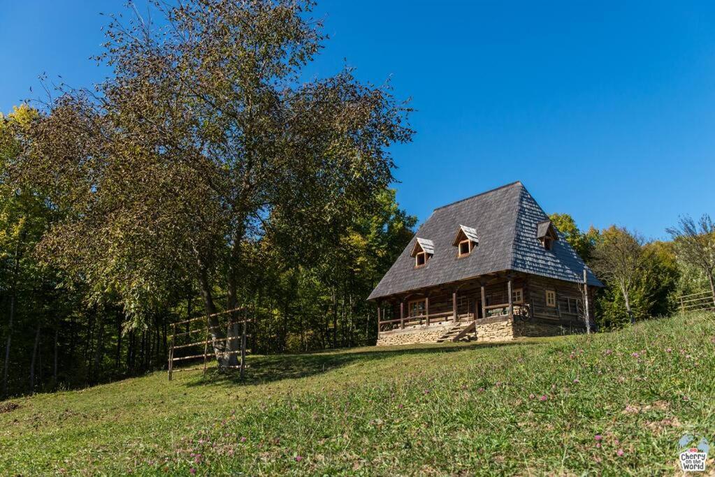Casa Valea Vinului-traditional house in Maramureș, photo 60