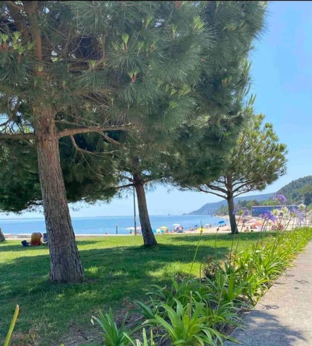 RPhouse 3 Setúbal view 3