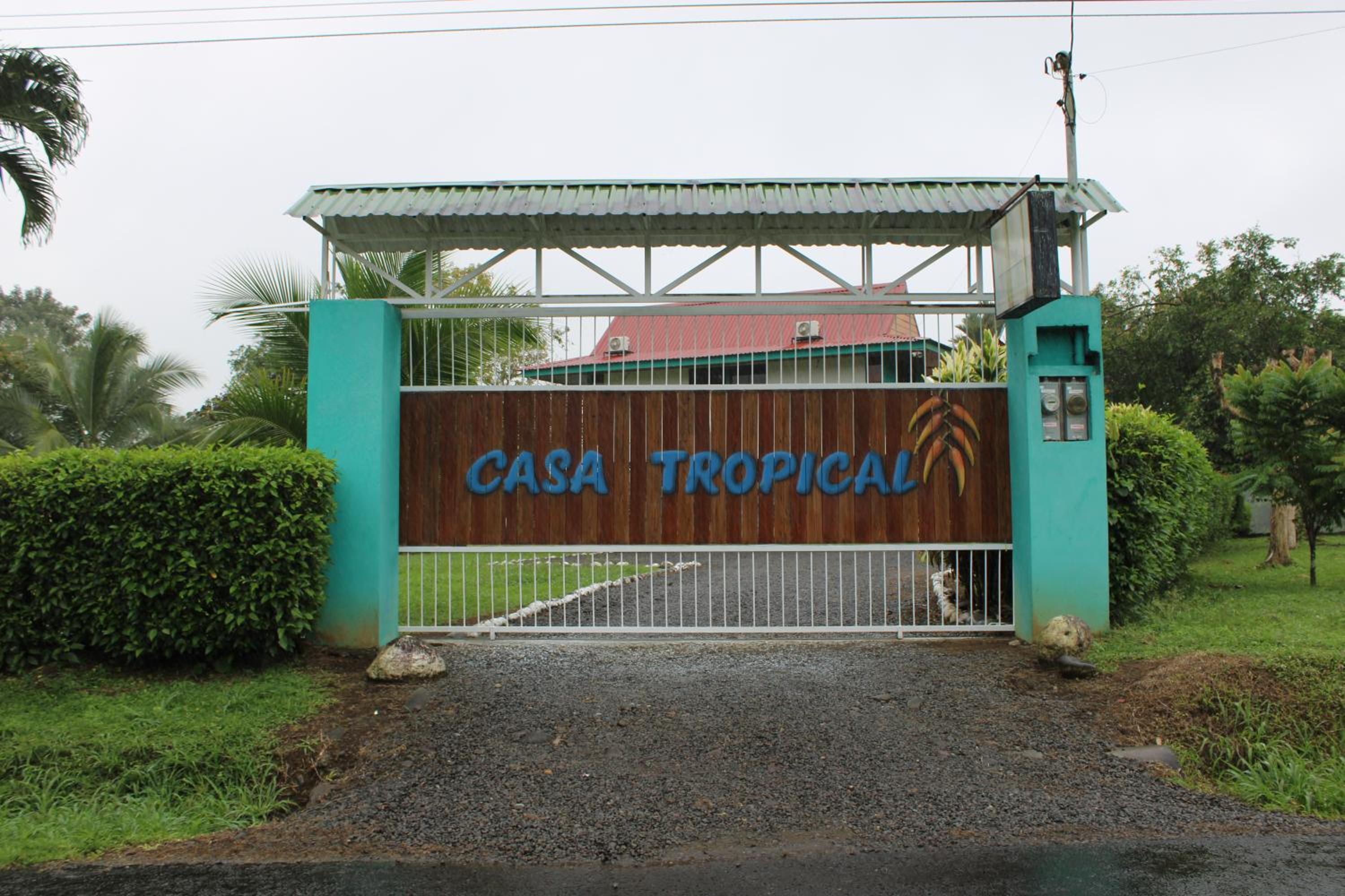 Casa Tropical Honey by The Blue