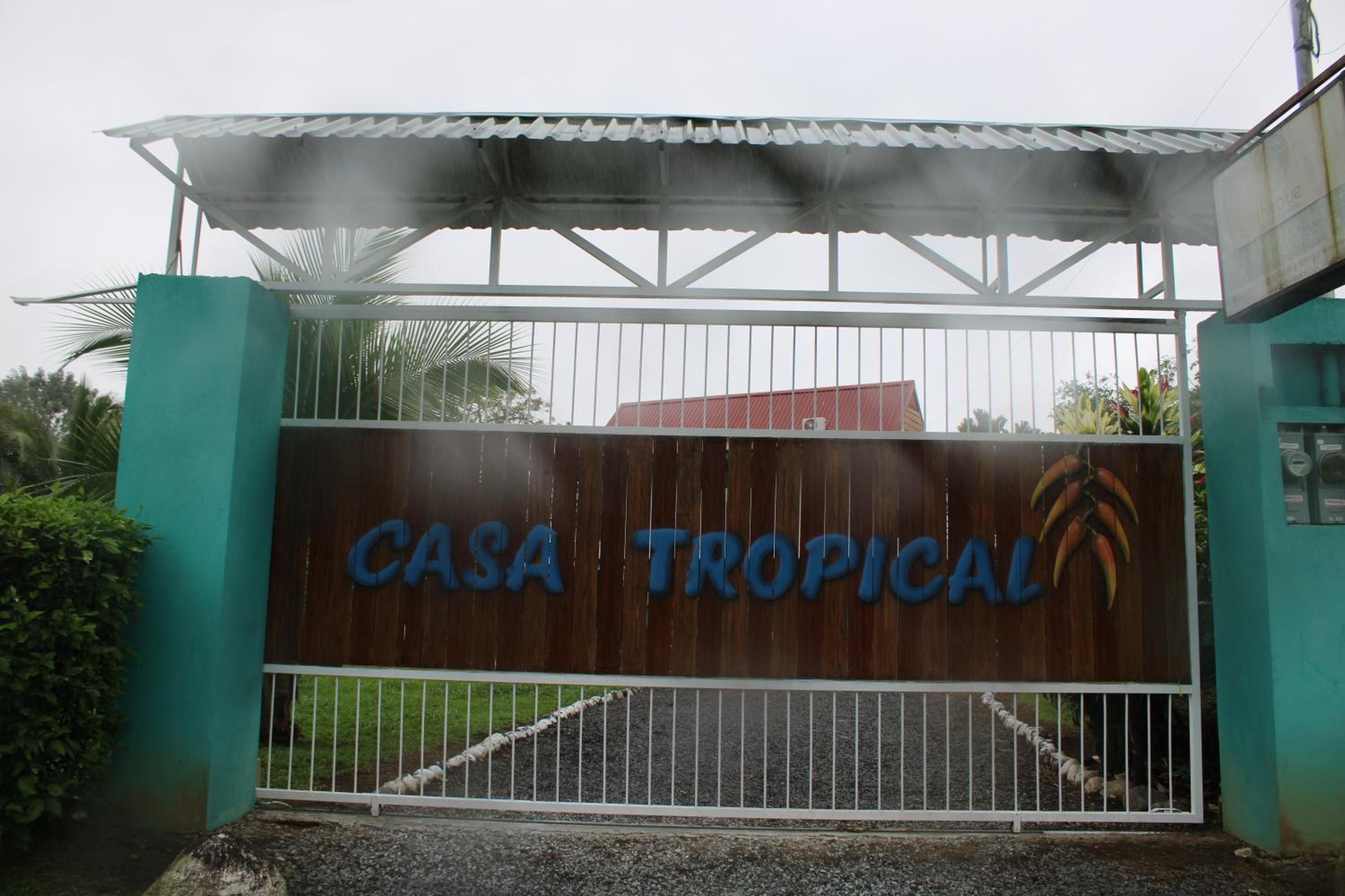 Casa Tropical Honey by The Blue