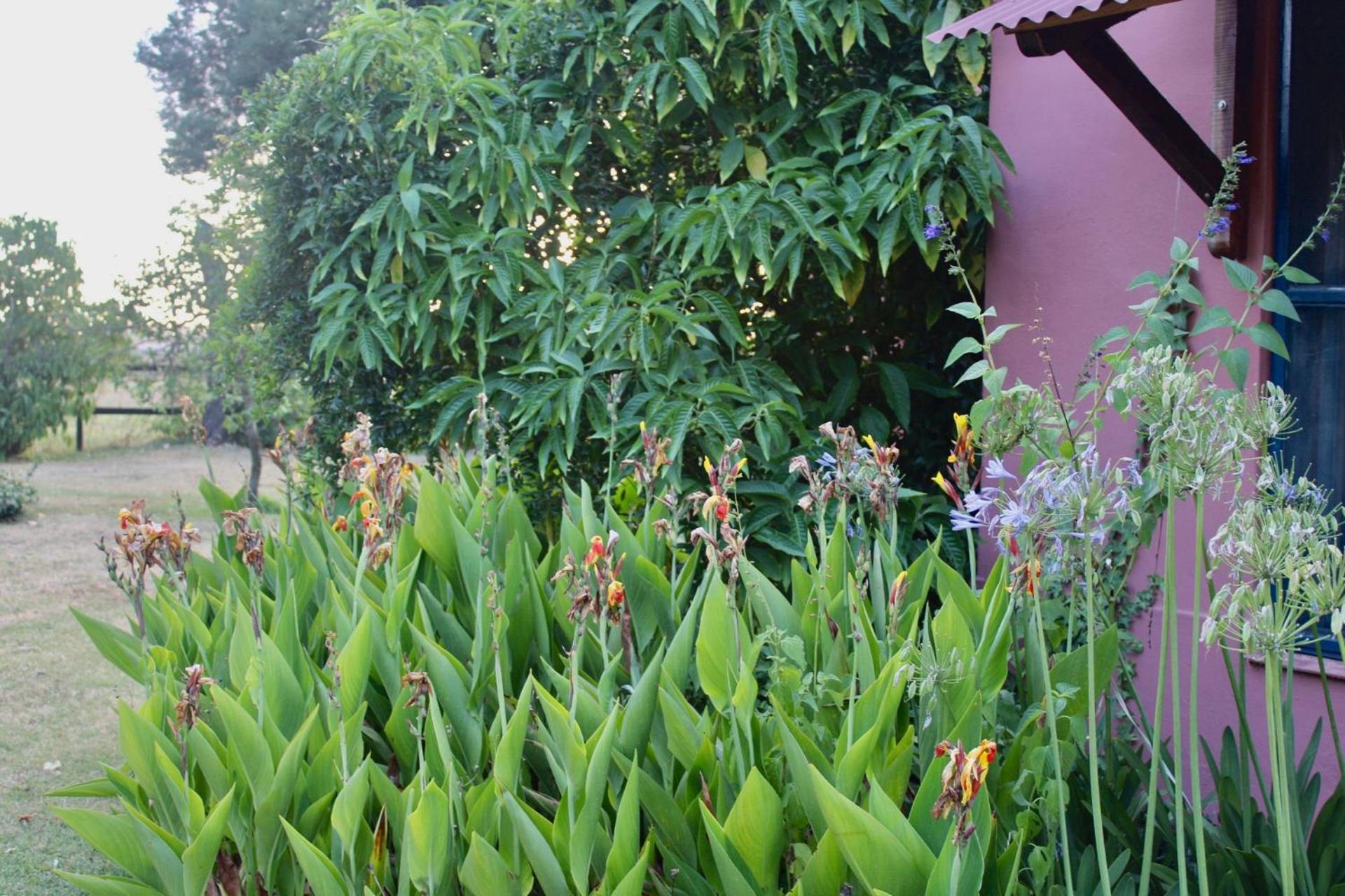 Casita Los Milagros