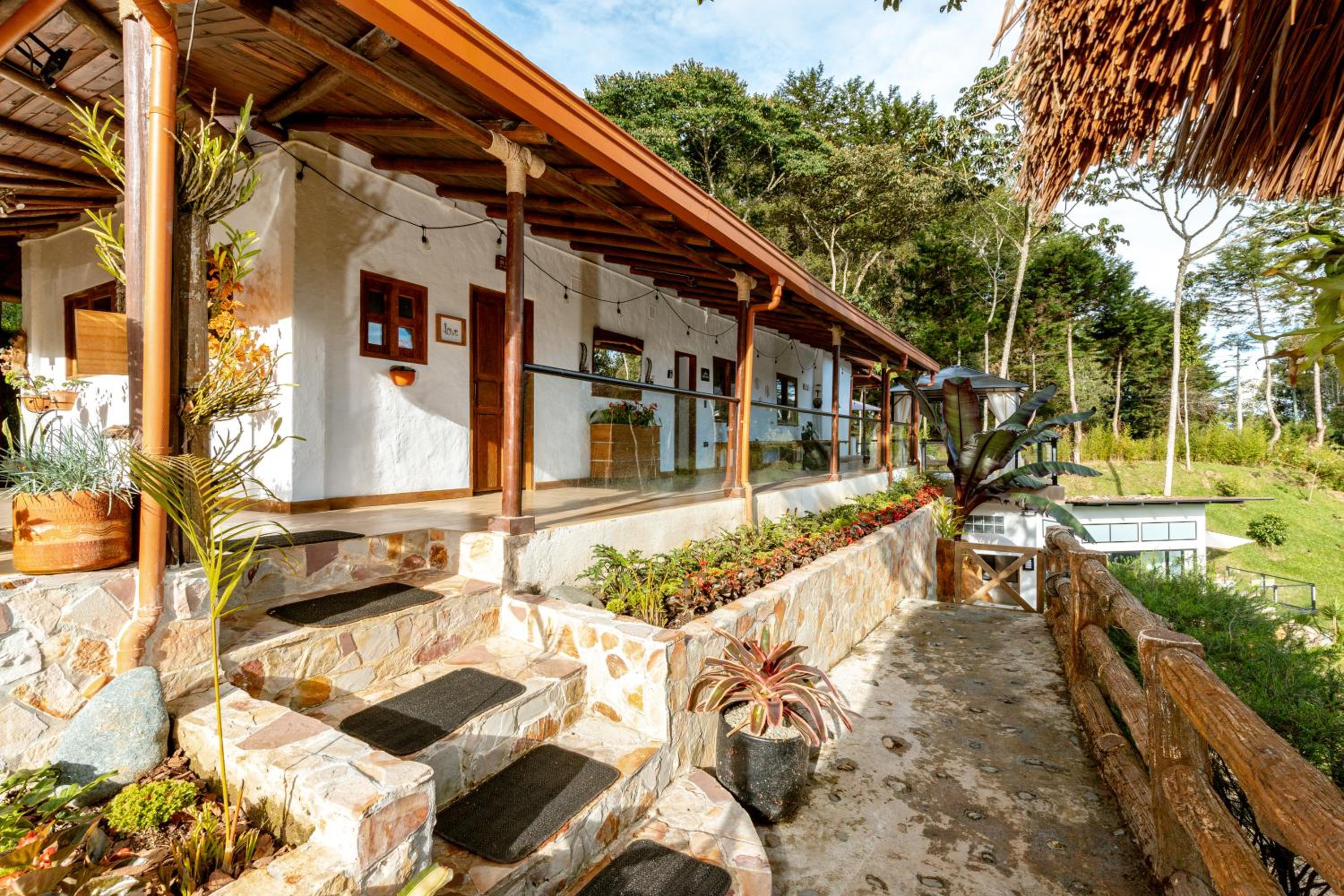 Zen Medellín NIRVANA