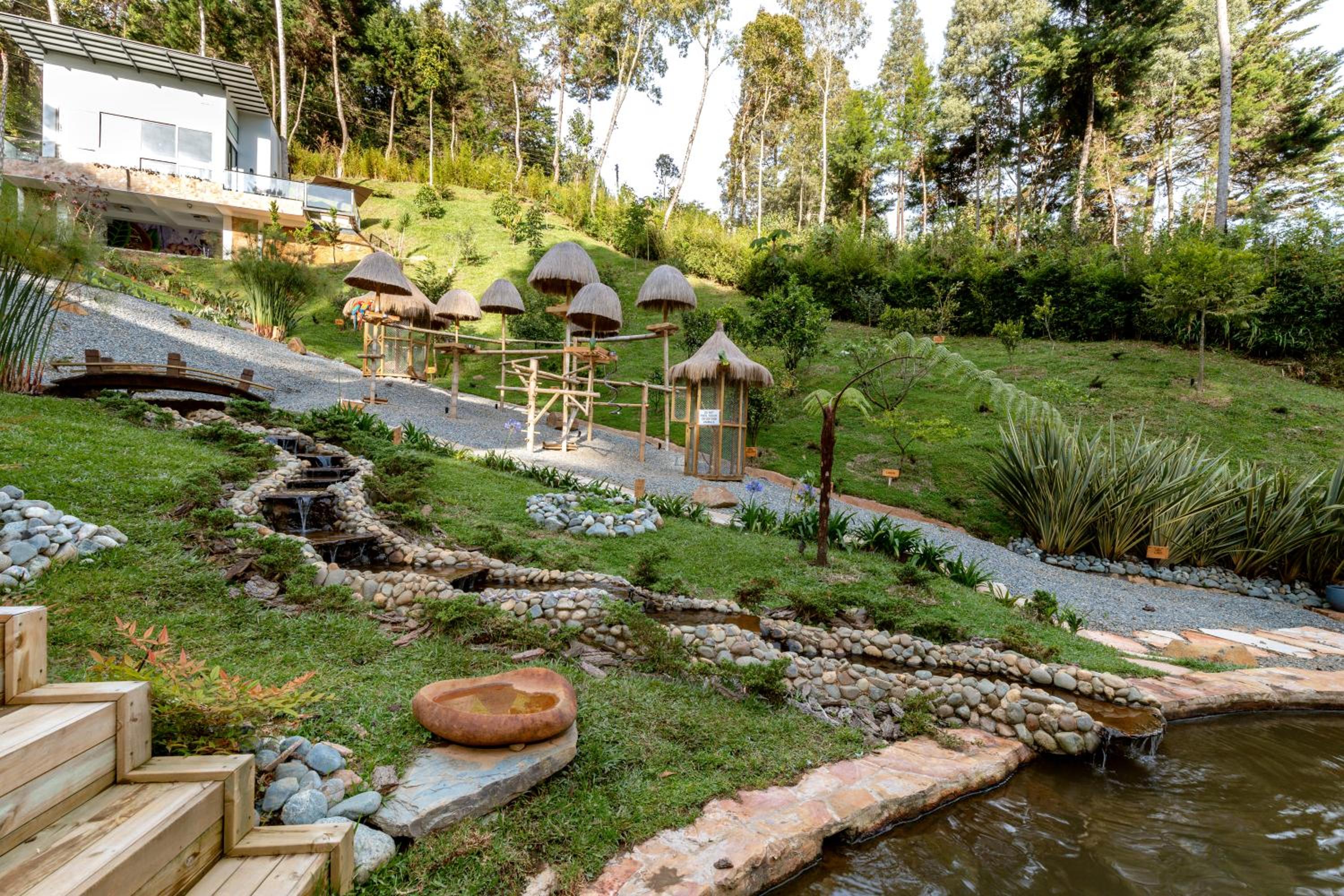 Zen Medellín NIRVANA