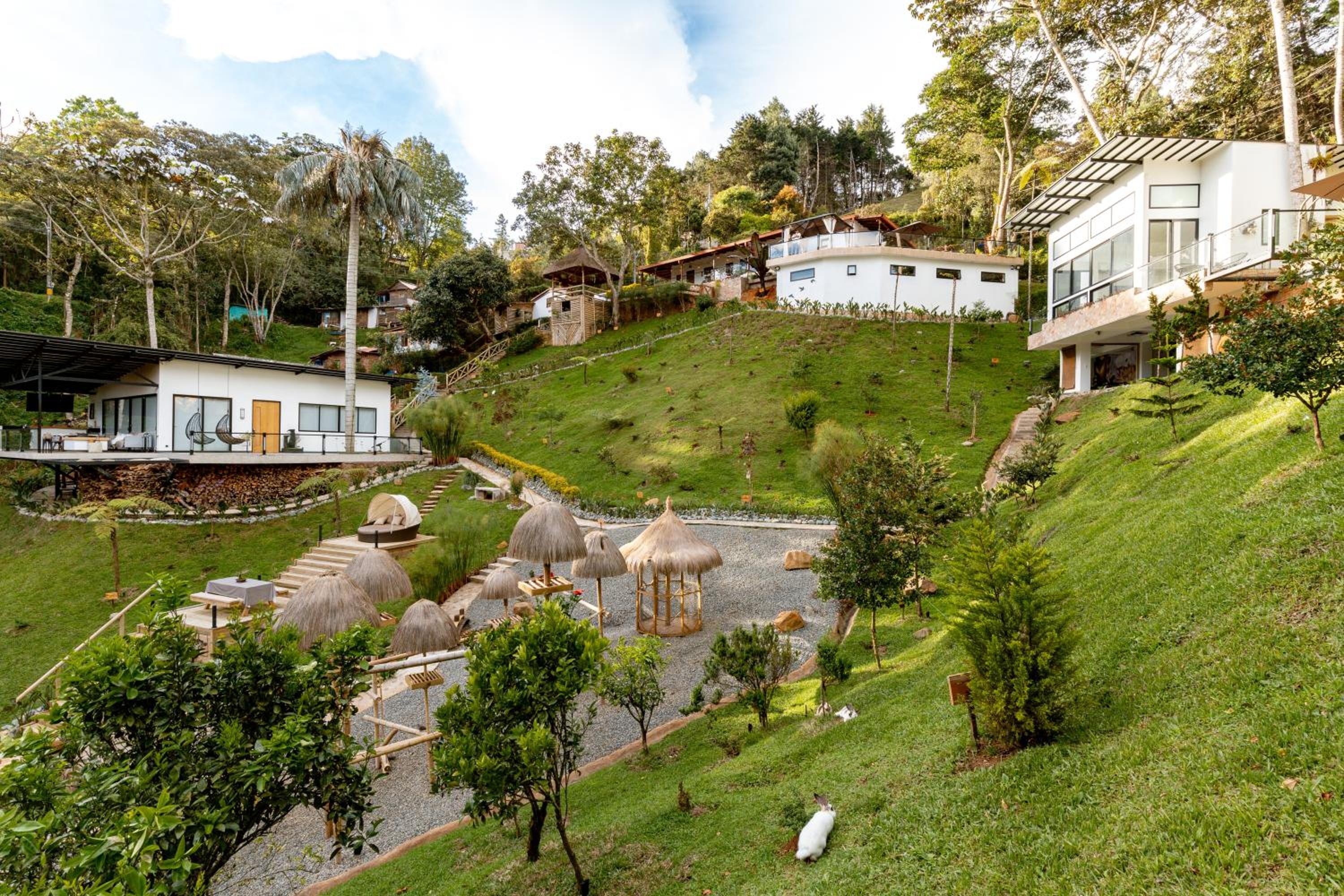 Zen Medellín NIRVANA