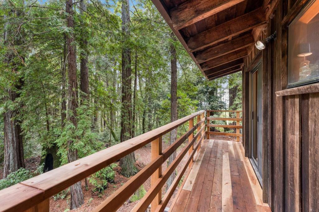Grandma's Cabin by the Sea view 4