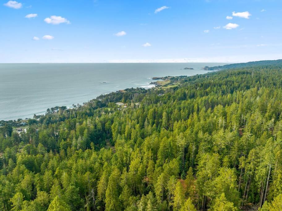 Grandma's Cabin by the Sea view 2