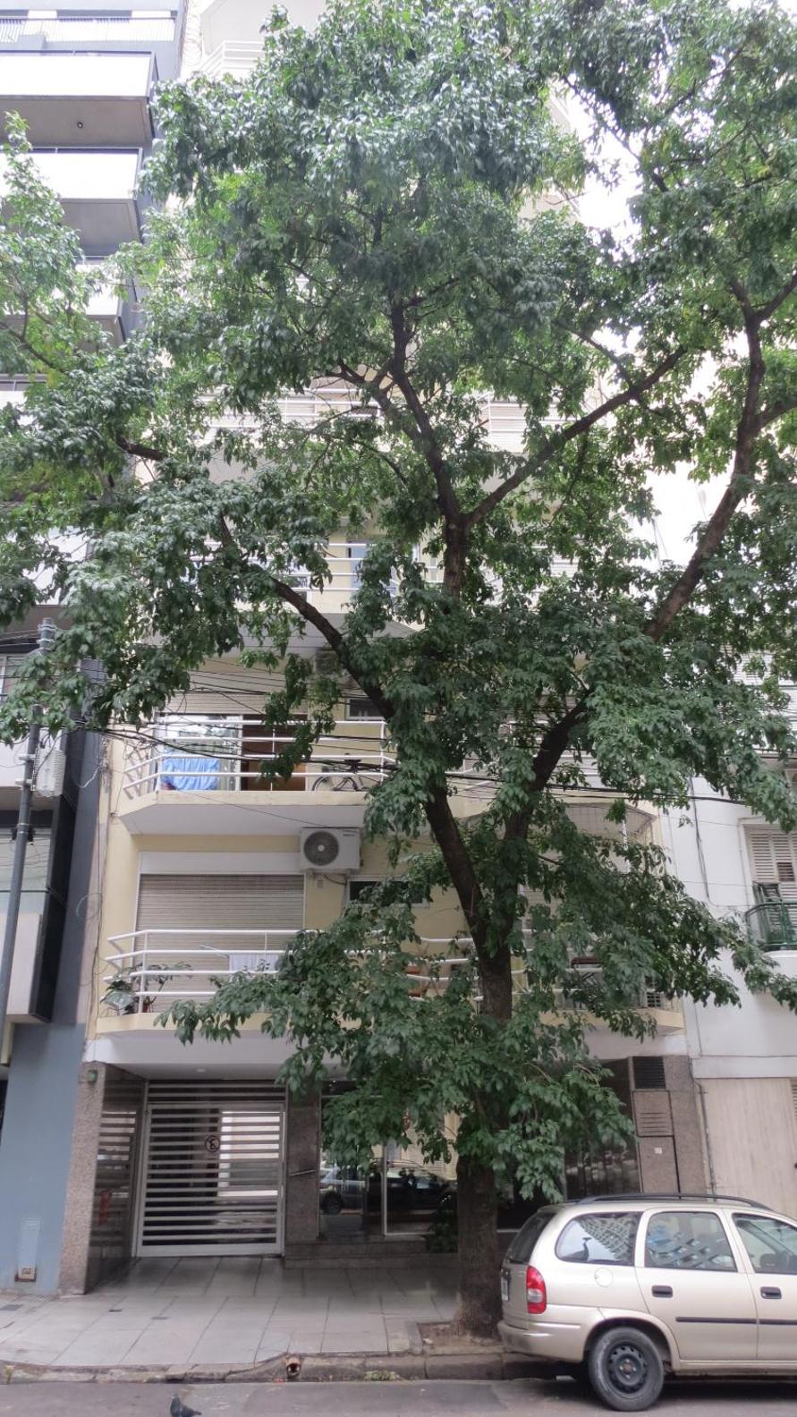 Departamento en Buenos Aires