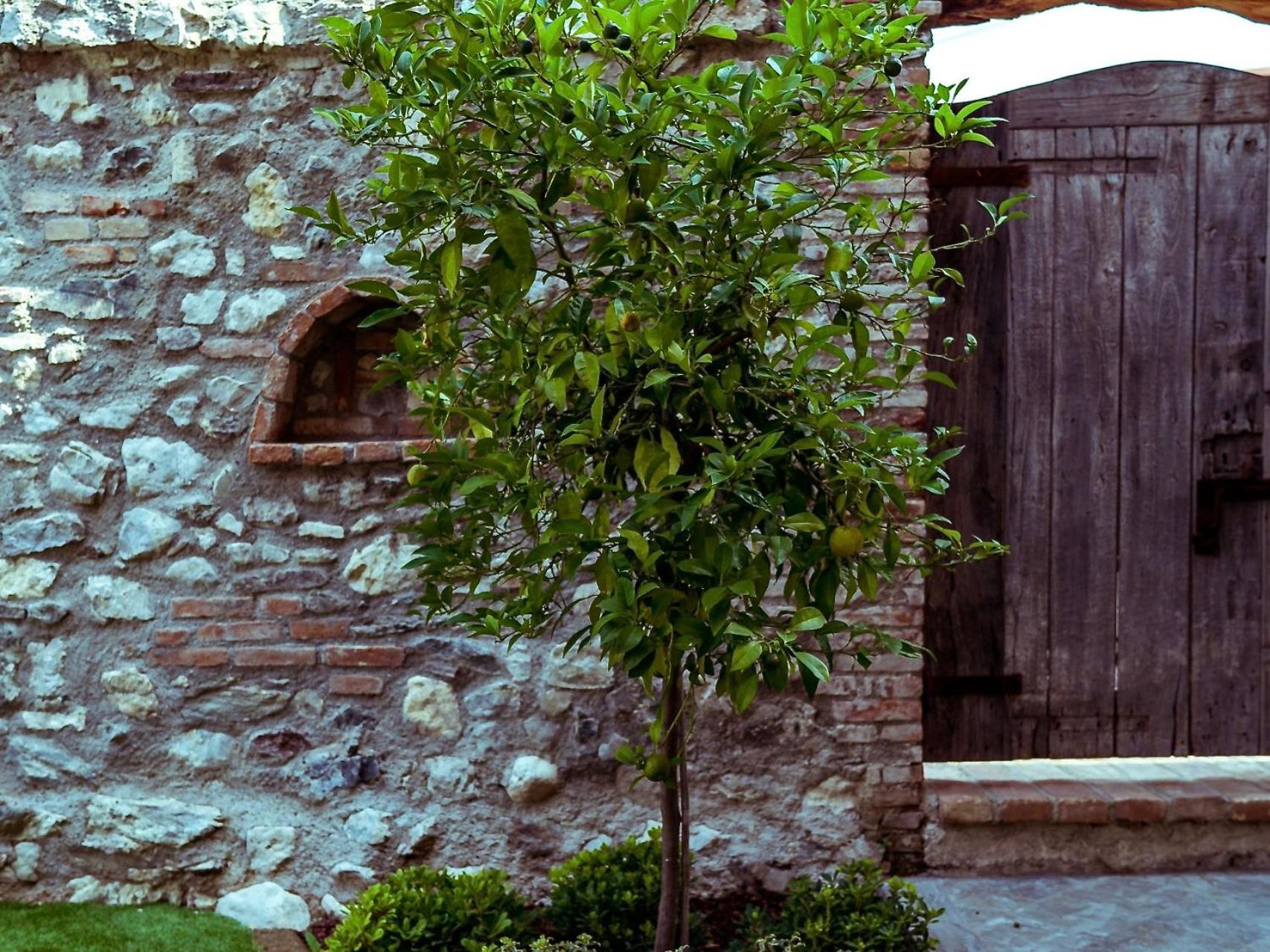 Villa Fontanelle Gardapartments