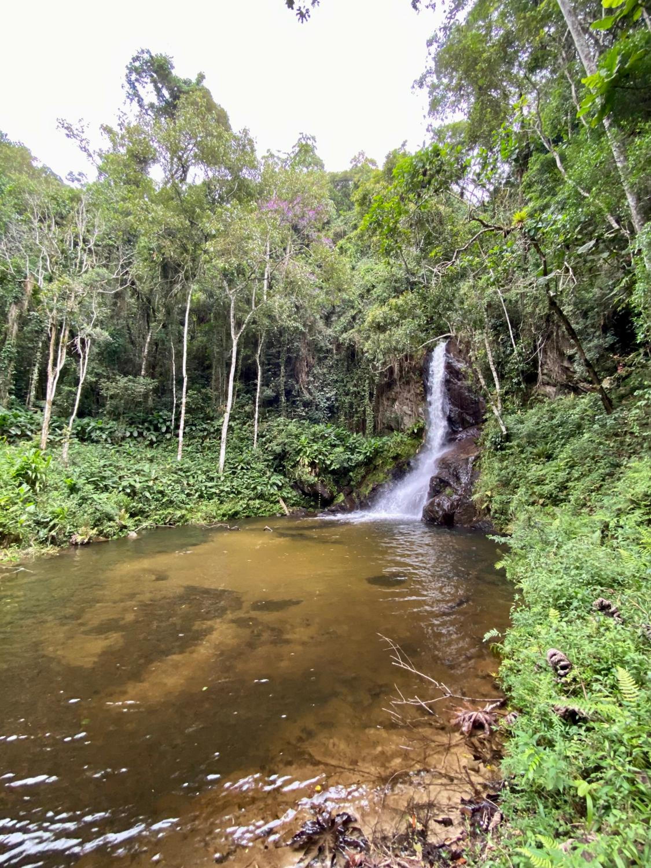 Chalés Fazenda Floresta das Araucárias