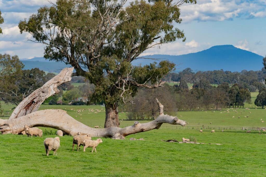 Linleigh Farmhouse With Mountain Views
