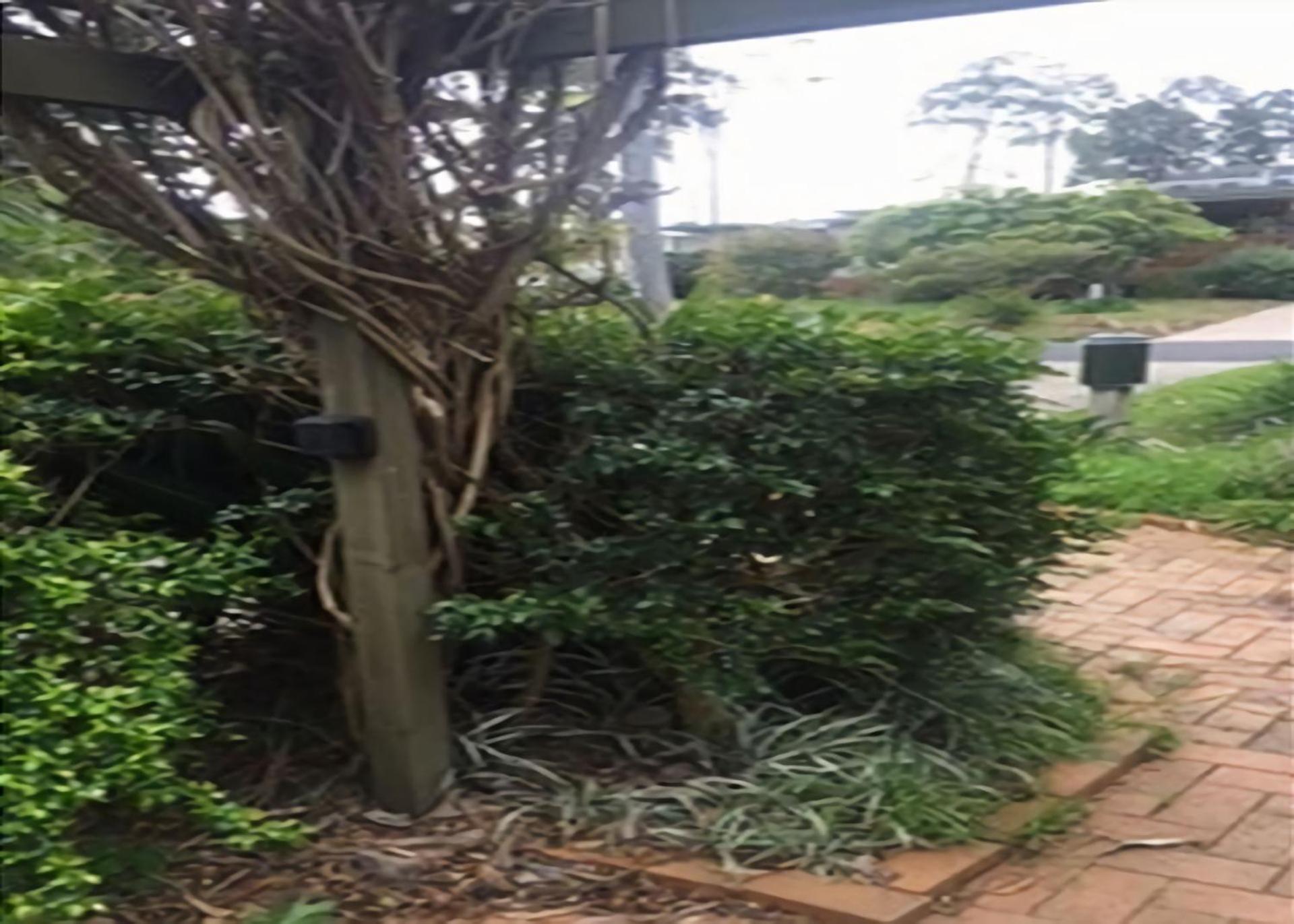 Denham Avenue Whole House Beachside Escape managed by Batemans Bay Accom