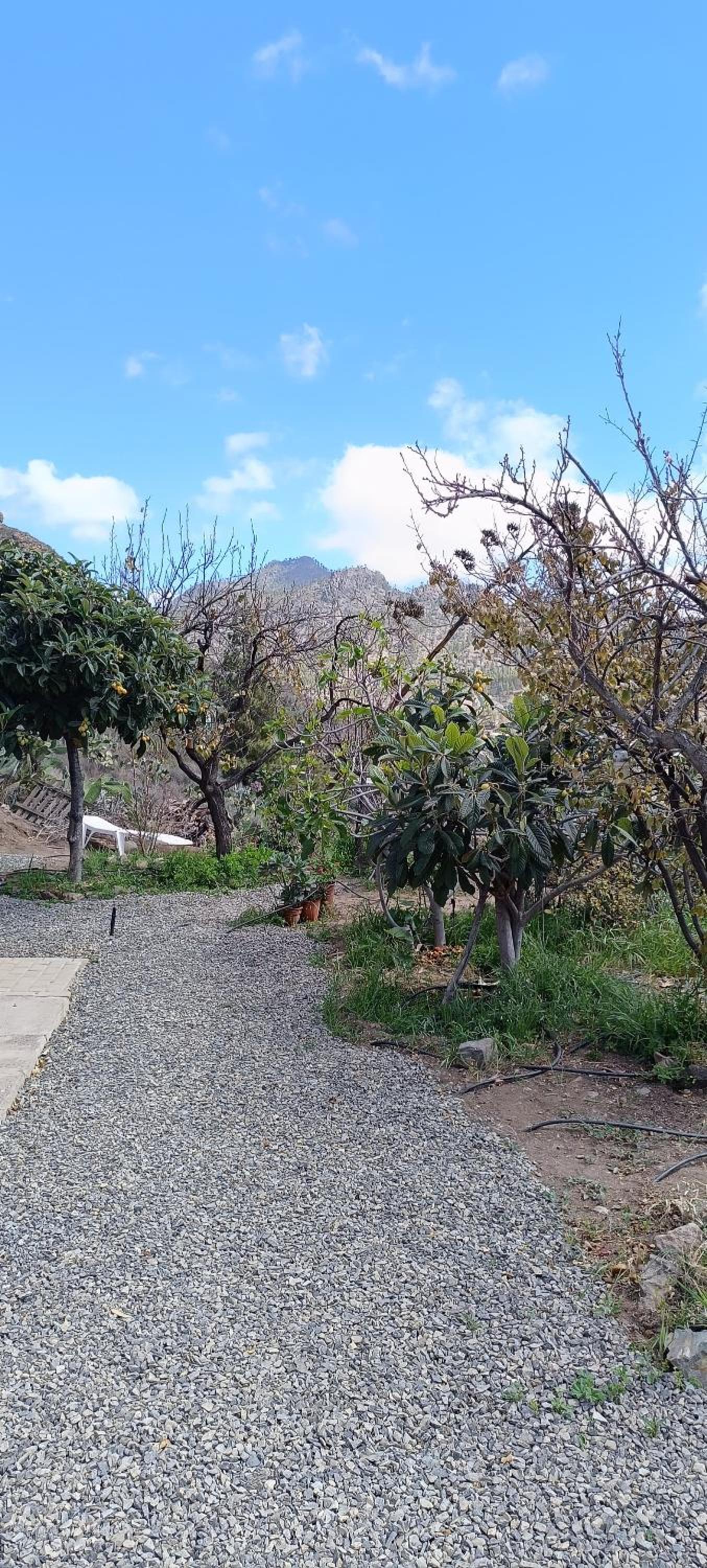 Vista Paraíso de Chira