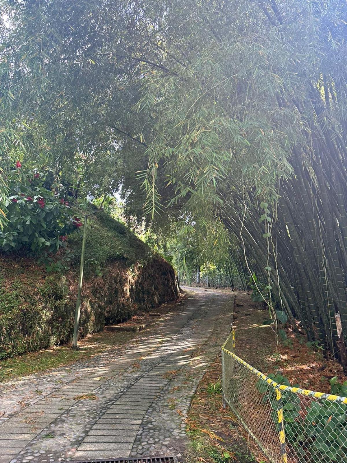 Casa de Verano