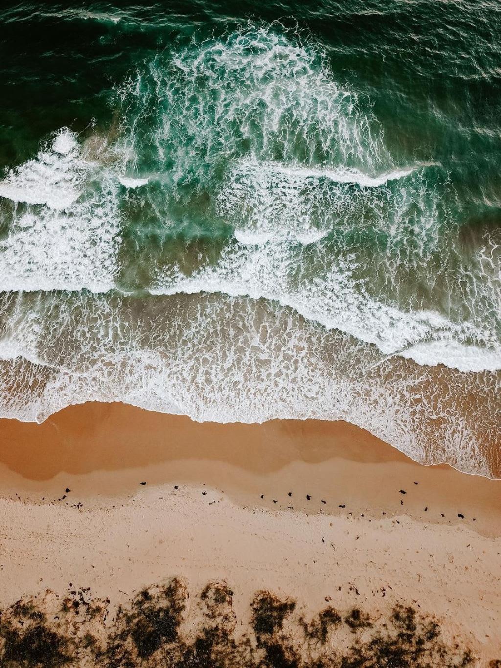 The Endless Summer- 30 seconds walk to the beach