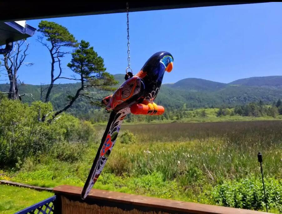 Tiki Escape w/ Amazing Mountain and Marsh Backdrop view 4