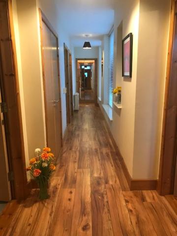 Westport Retreat Apartment view 3