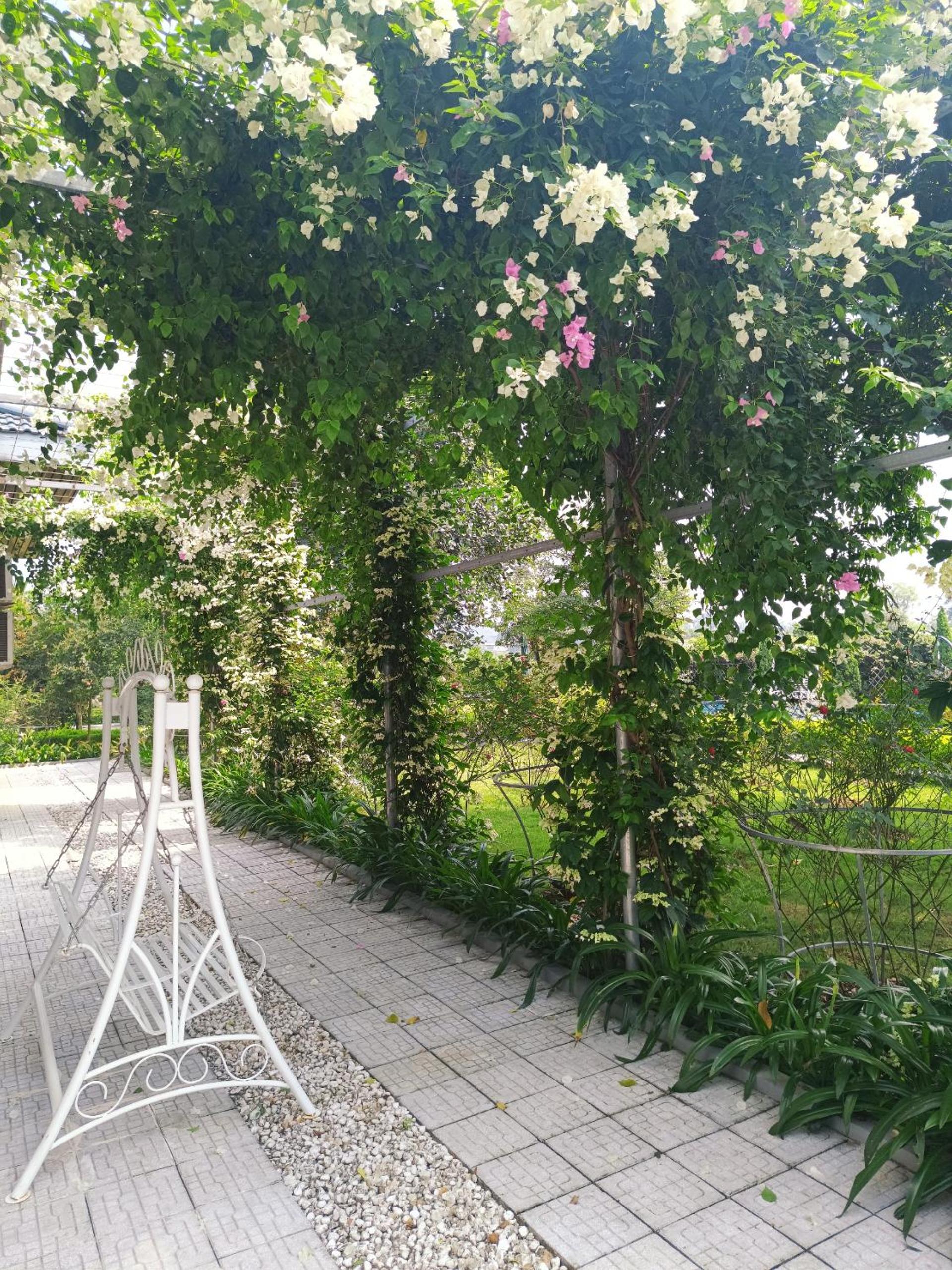Photo 35