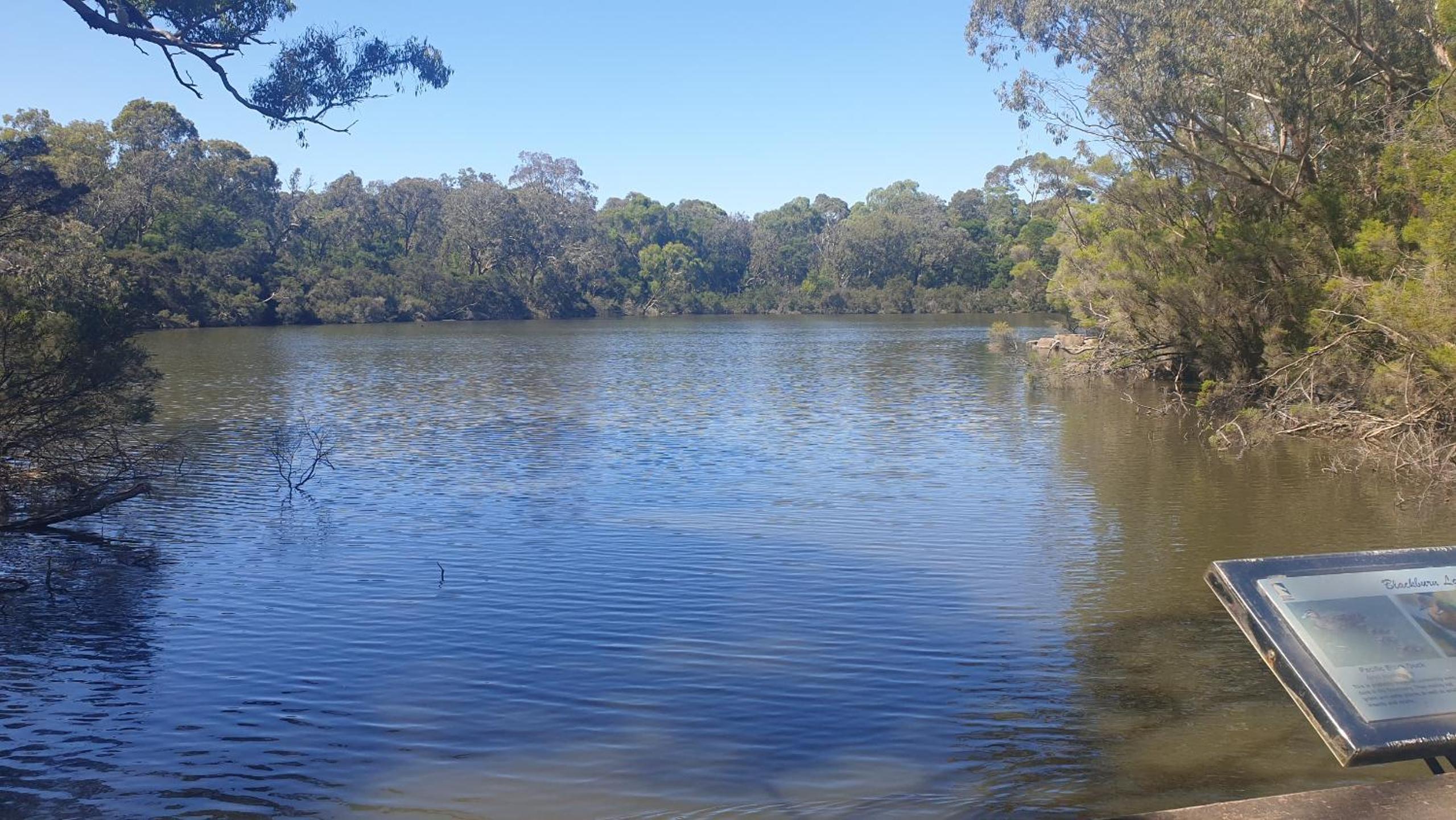 Blackburn Lake Bed and Breakfast