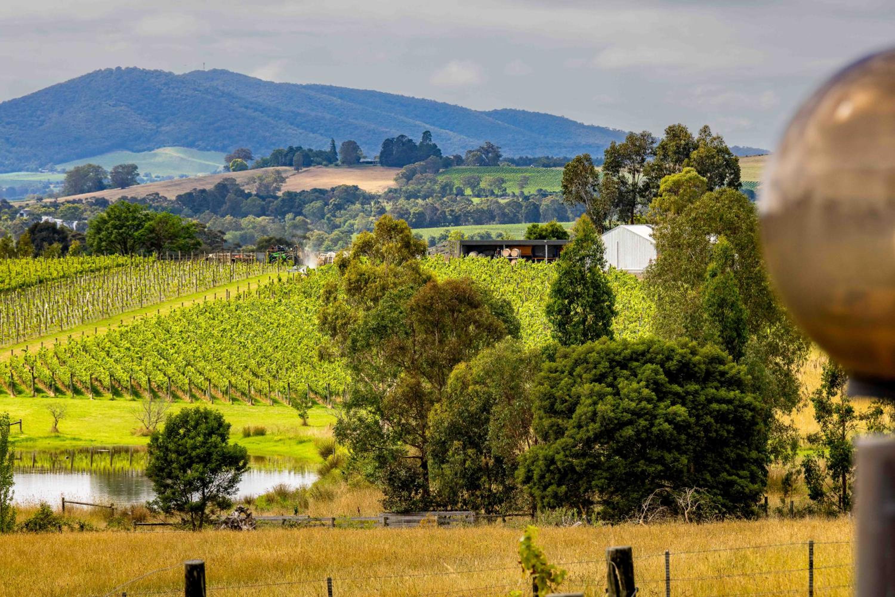 The Vines Cottage, Yarra Glen