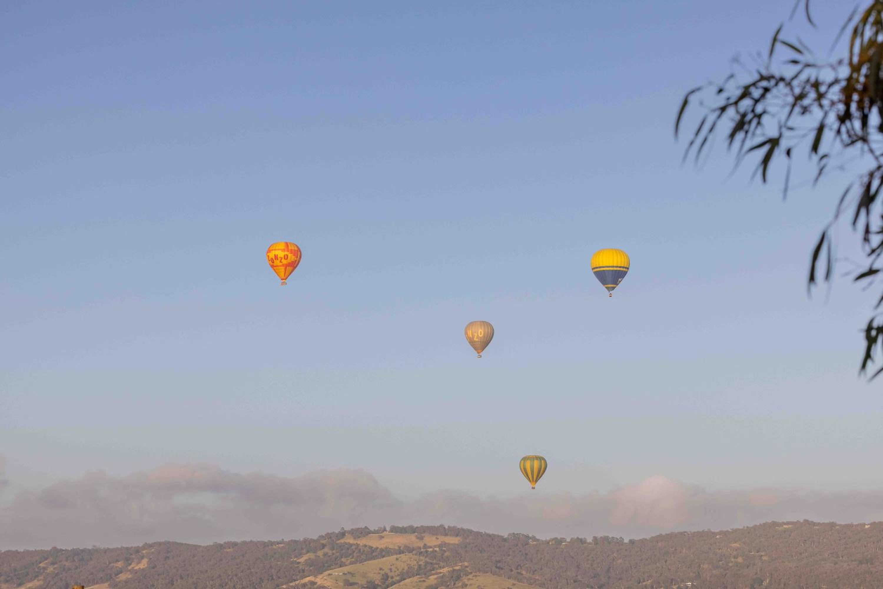 The Vines Cottage, Yarra Glen