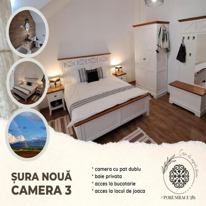 Porumbacu381 - Casa de Oaspeti Faini view 5