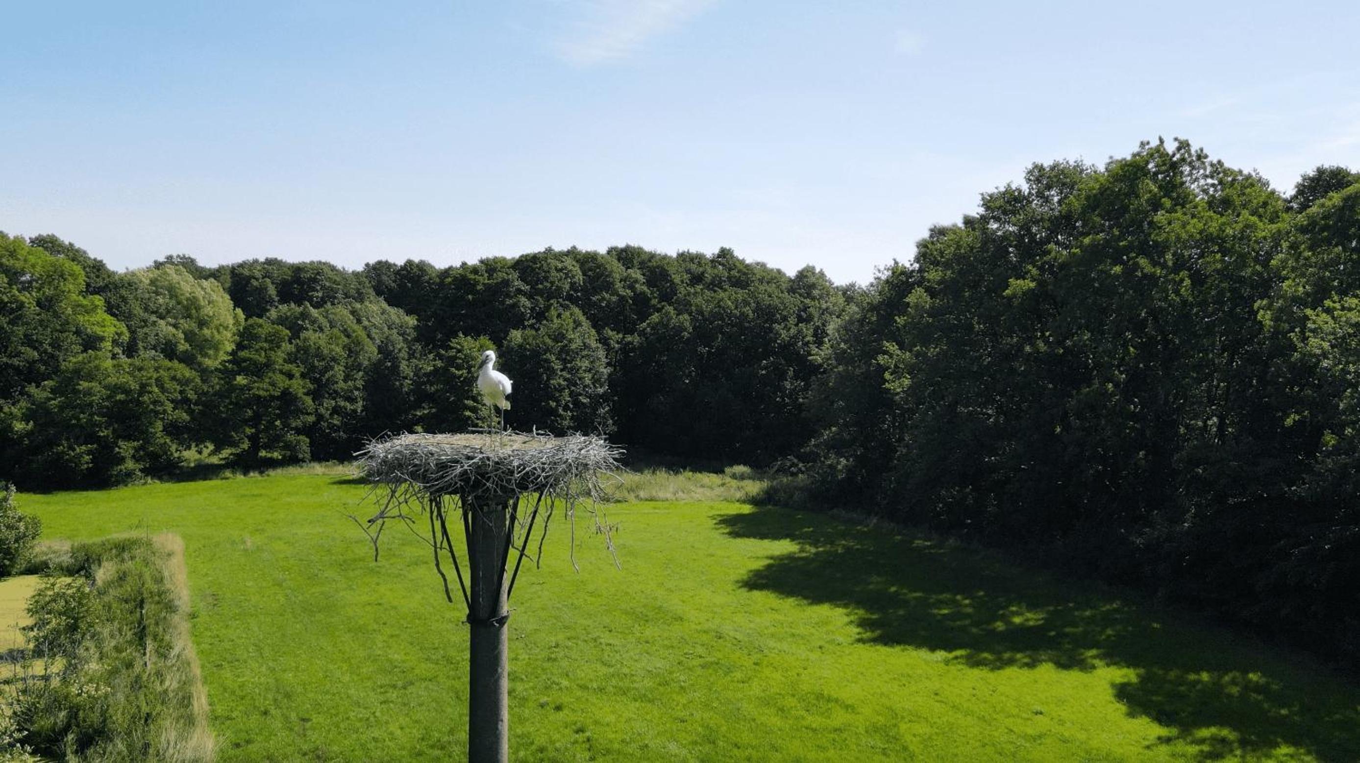 Roseneck am Neulandhof Spöring