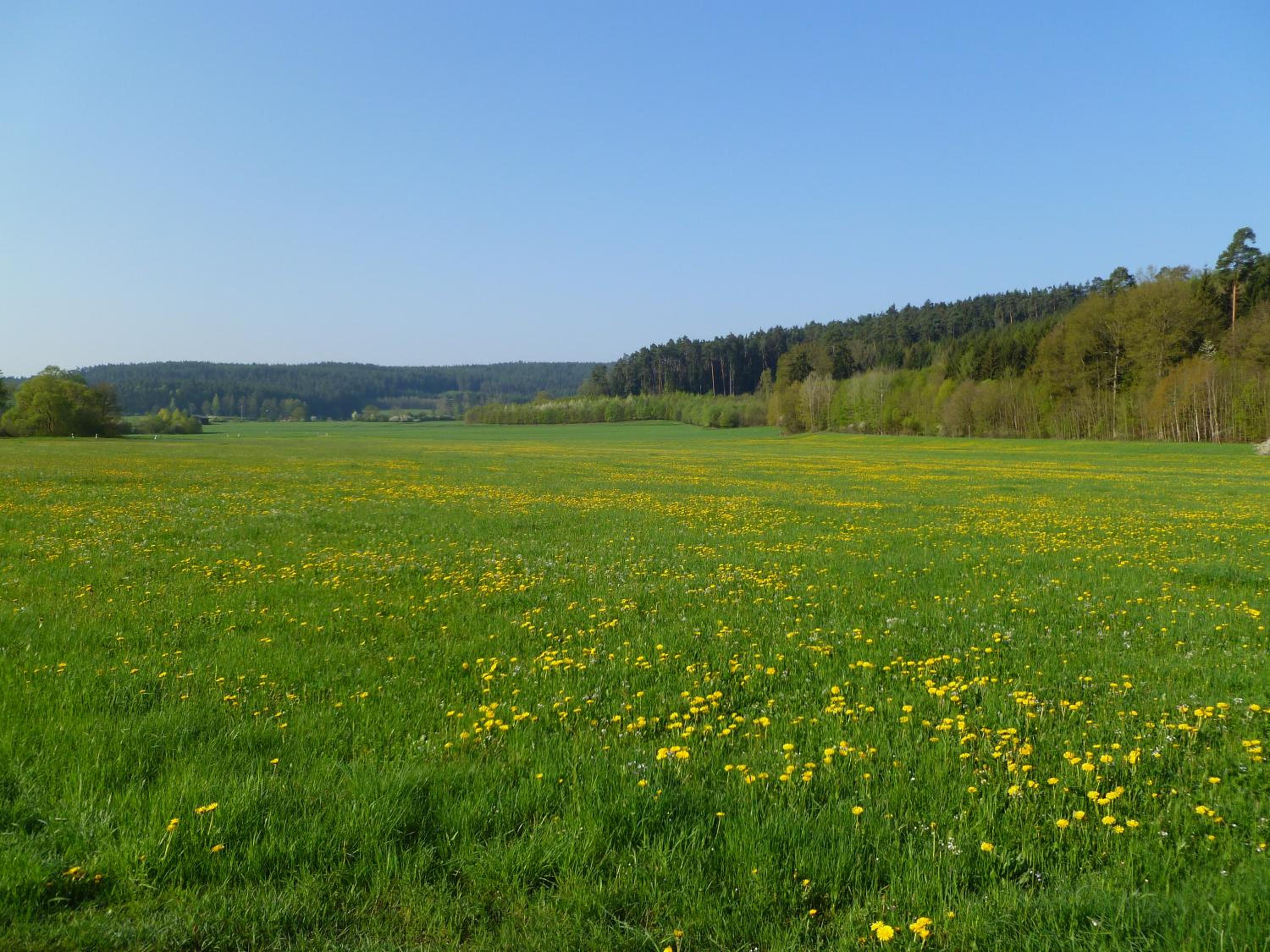 FeWo Ulbrich Langenstadt