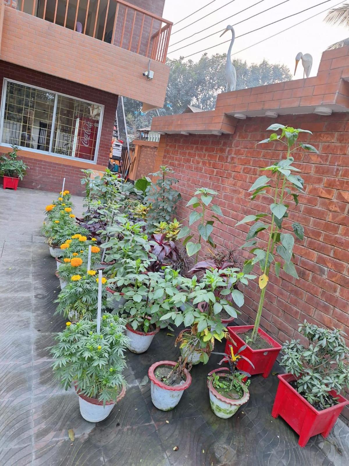 Photo 25