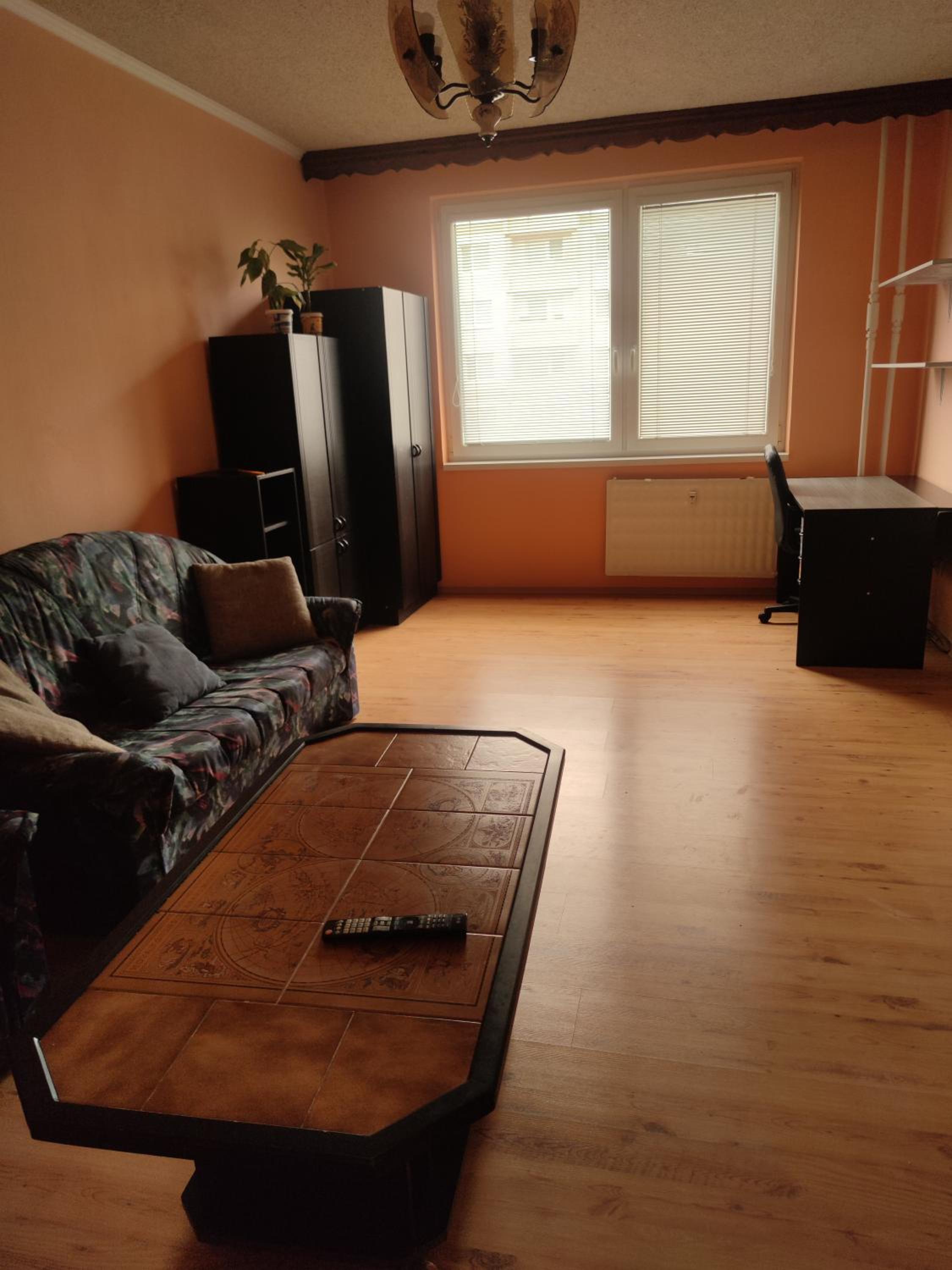 Fast Apartment in the Levice view 2