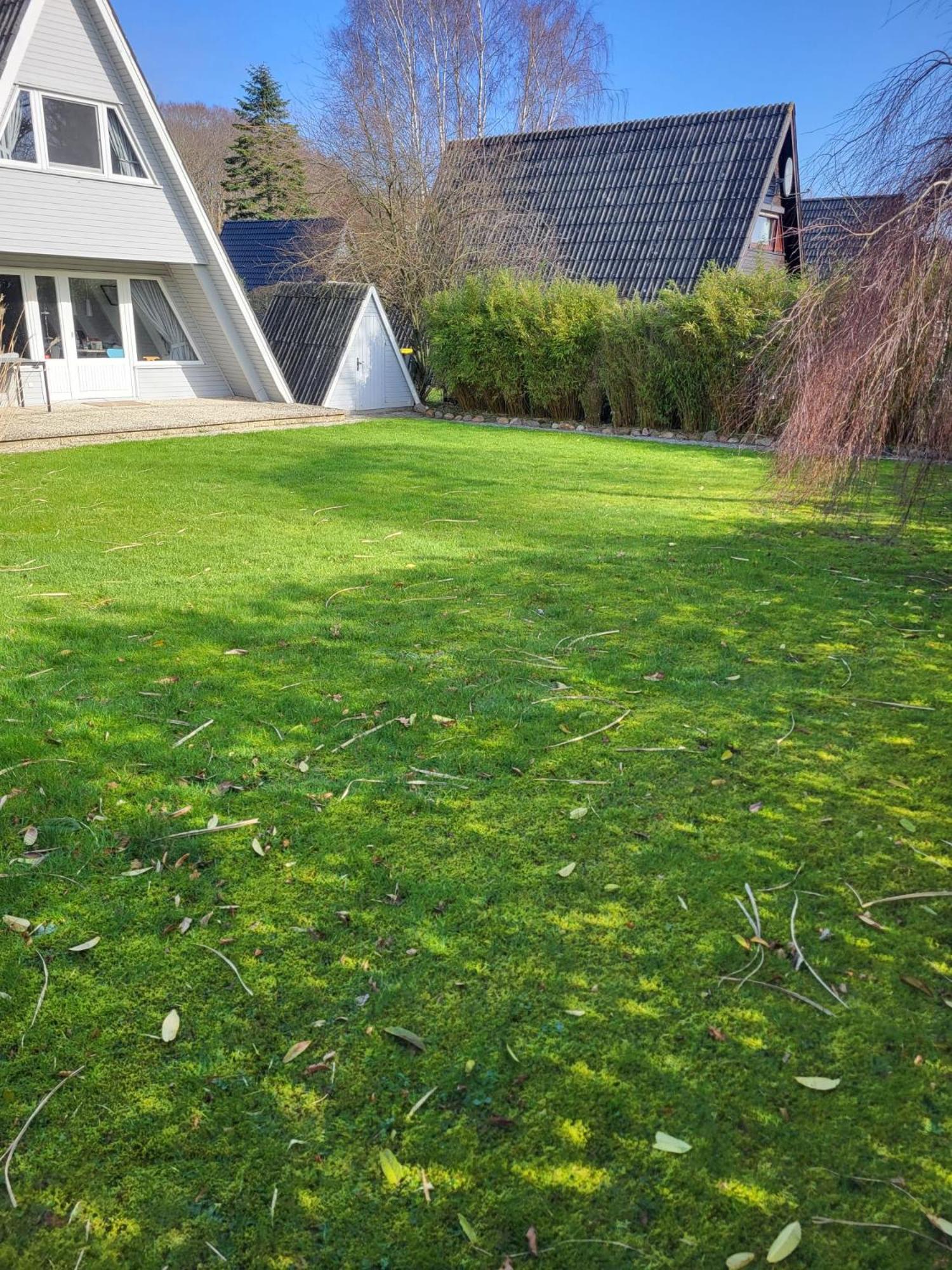 Nurdachhaus Zeltdachhaus Damp