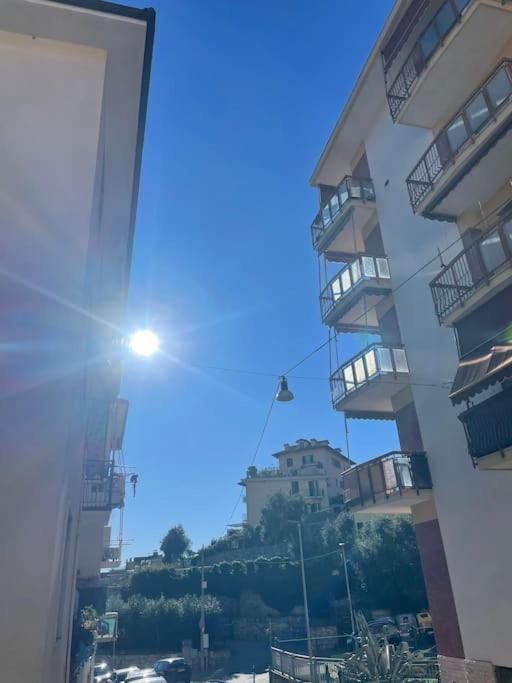 Il Piccolo Gufo view 3