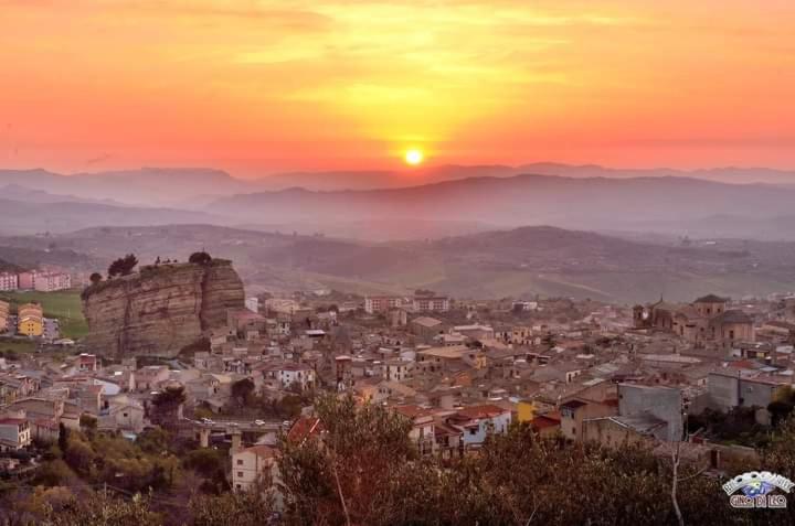 Photo 127