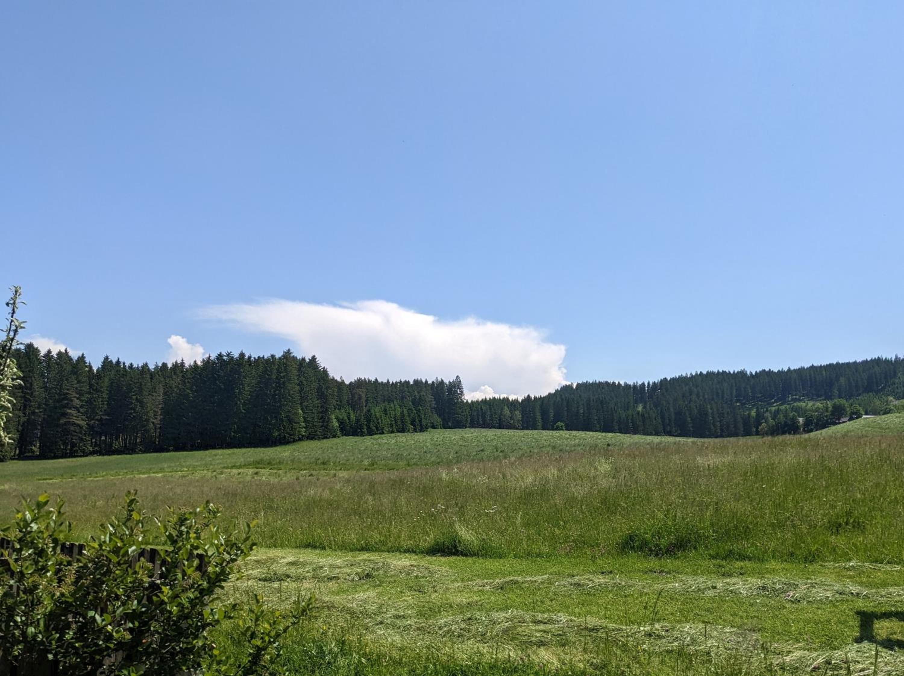 Ferienwohnung in der Natur
