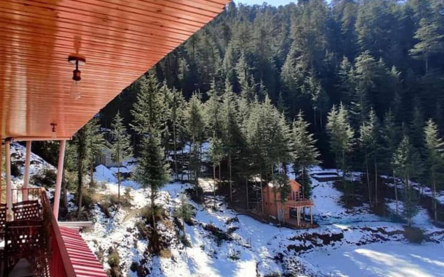 Junga Retreat and Tree House by StayApart view 4