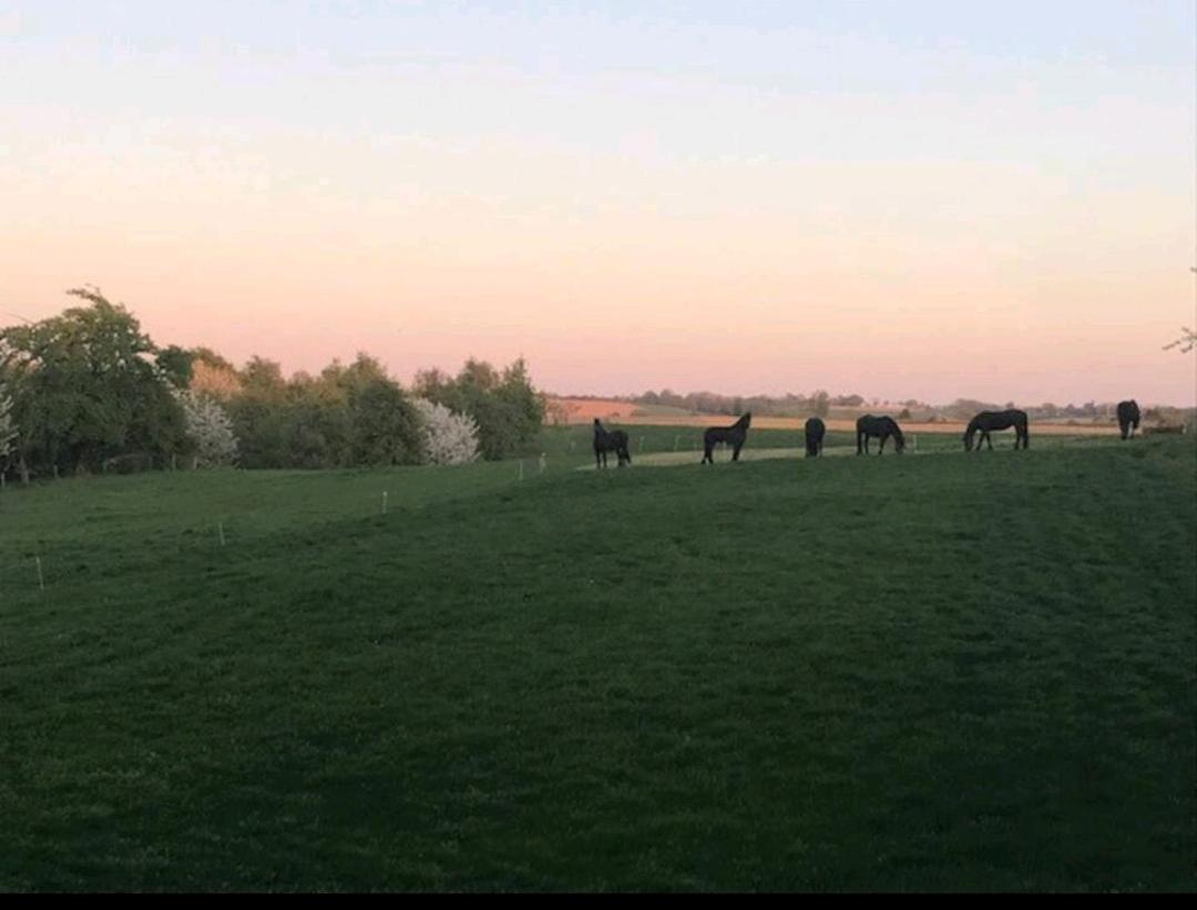 Vakantiewoning in monumentale boerderij met yurt