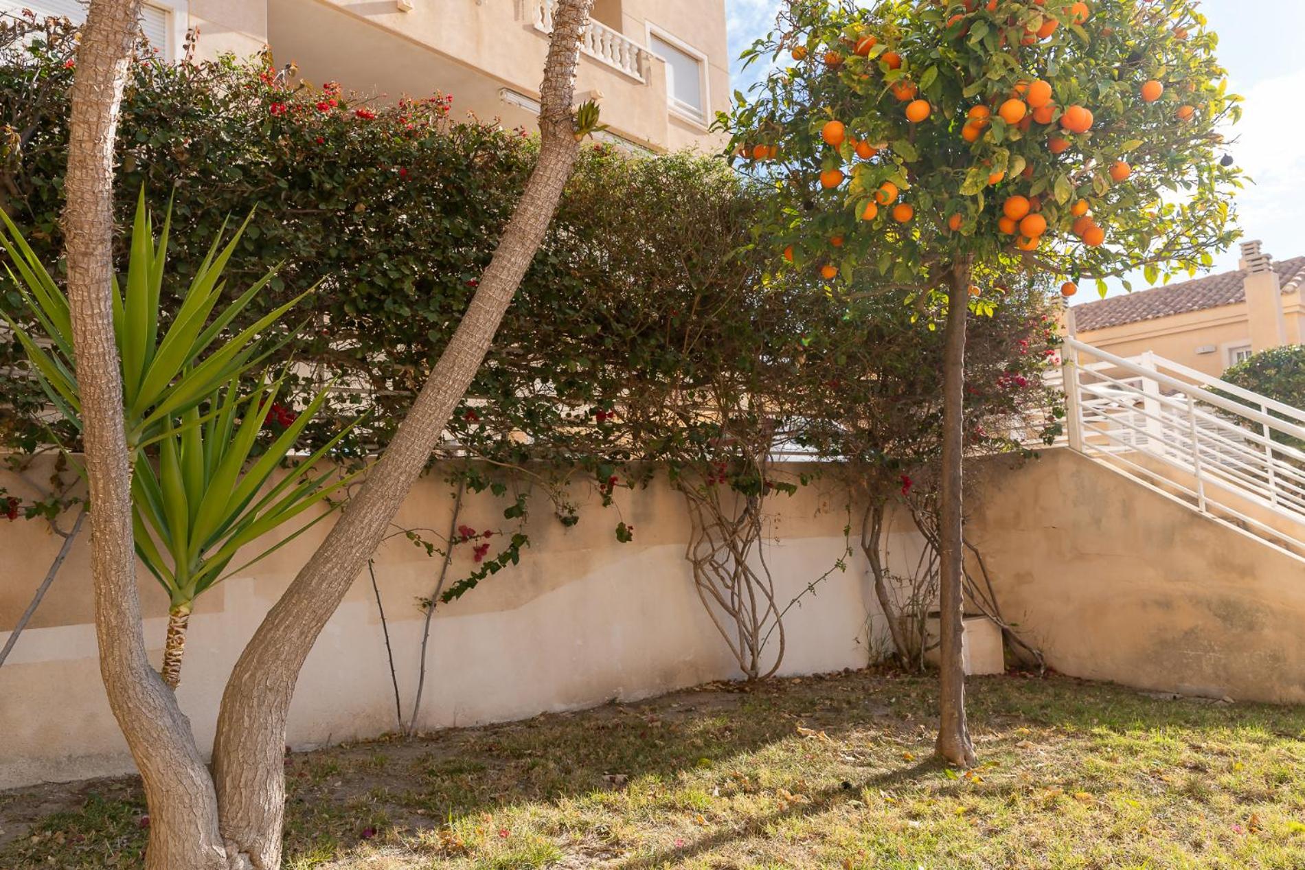 rentafive - Apartamento del Mar - Piscina - Vistas