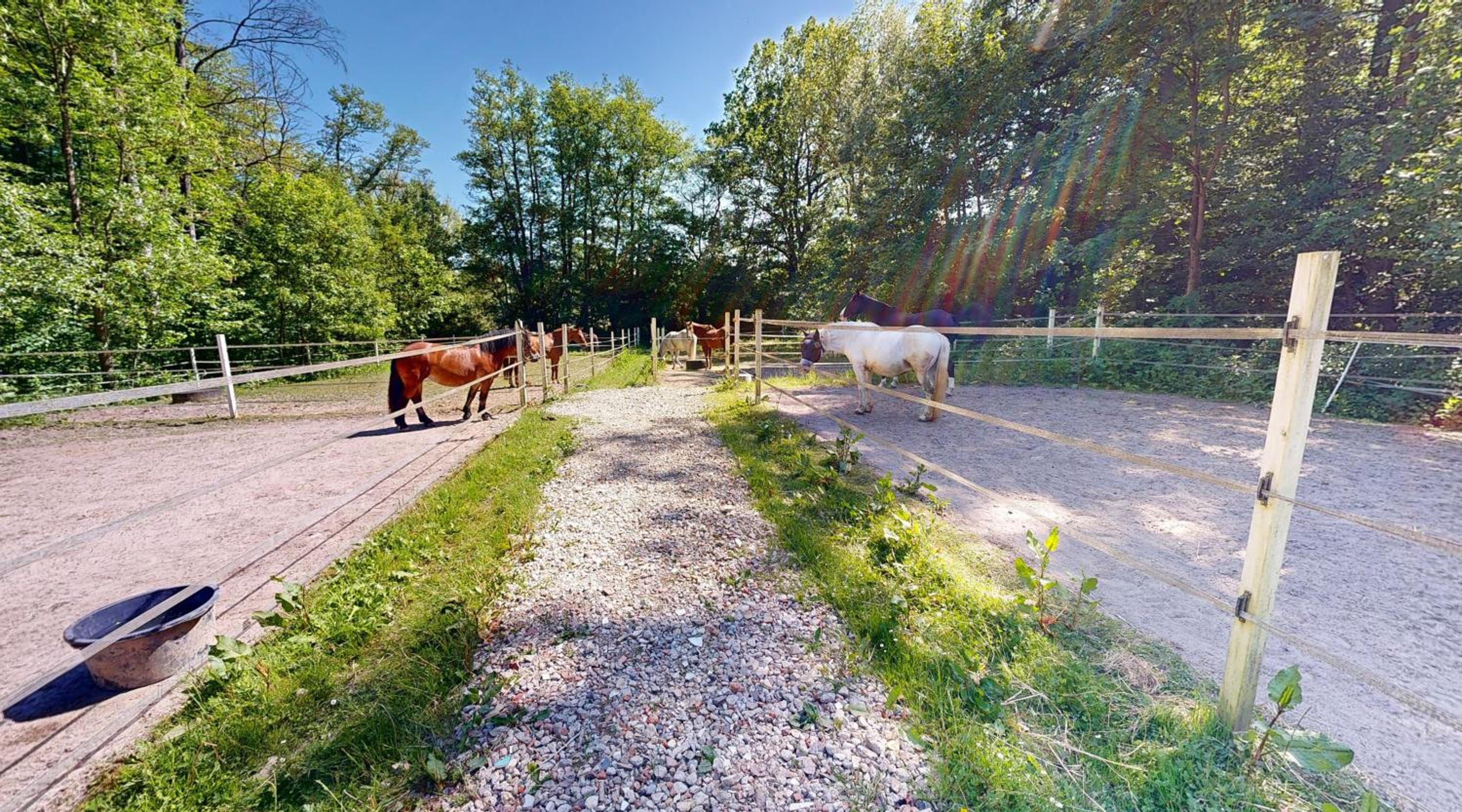 Reiterpension Marlie