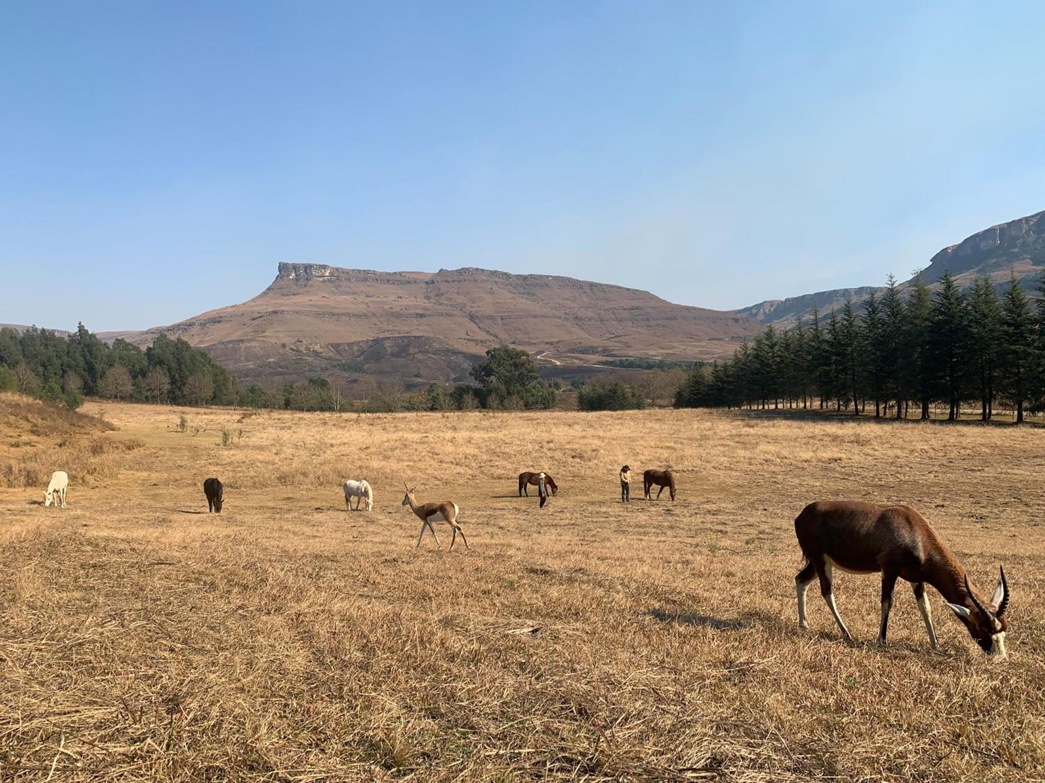 Silver Hill Lodge