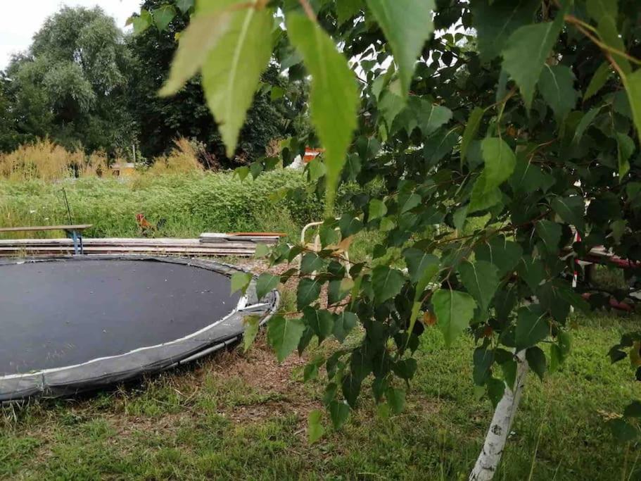 Gartenwohnung