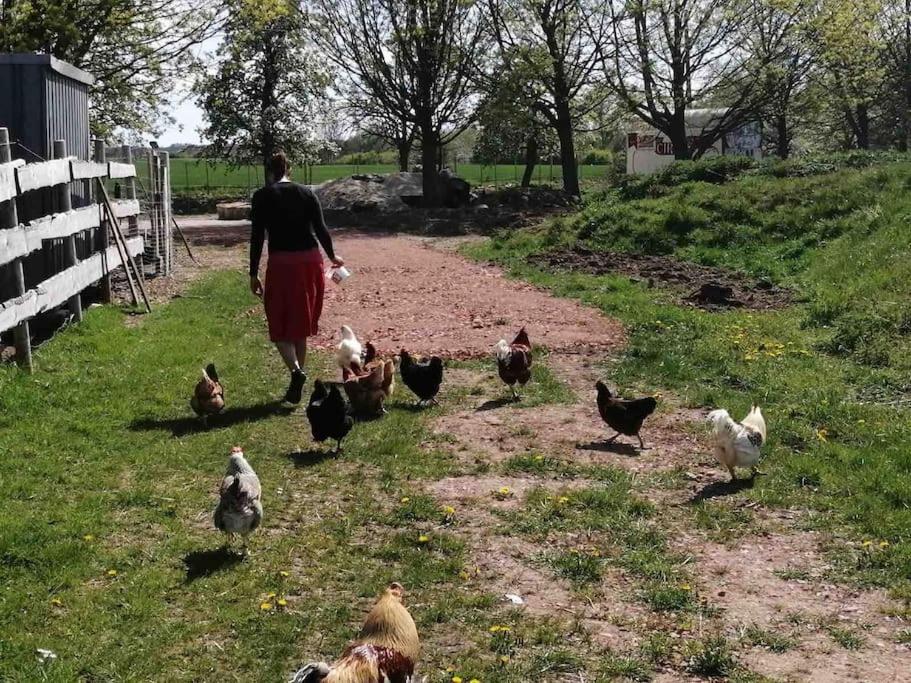 Gartenwohnung