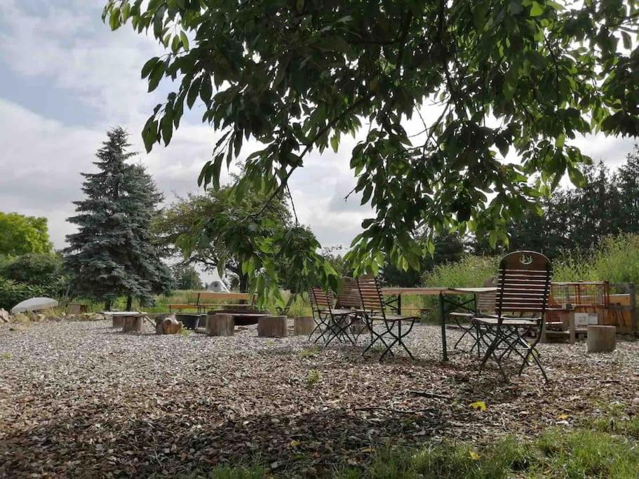 Gartenwohnung