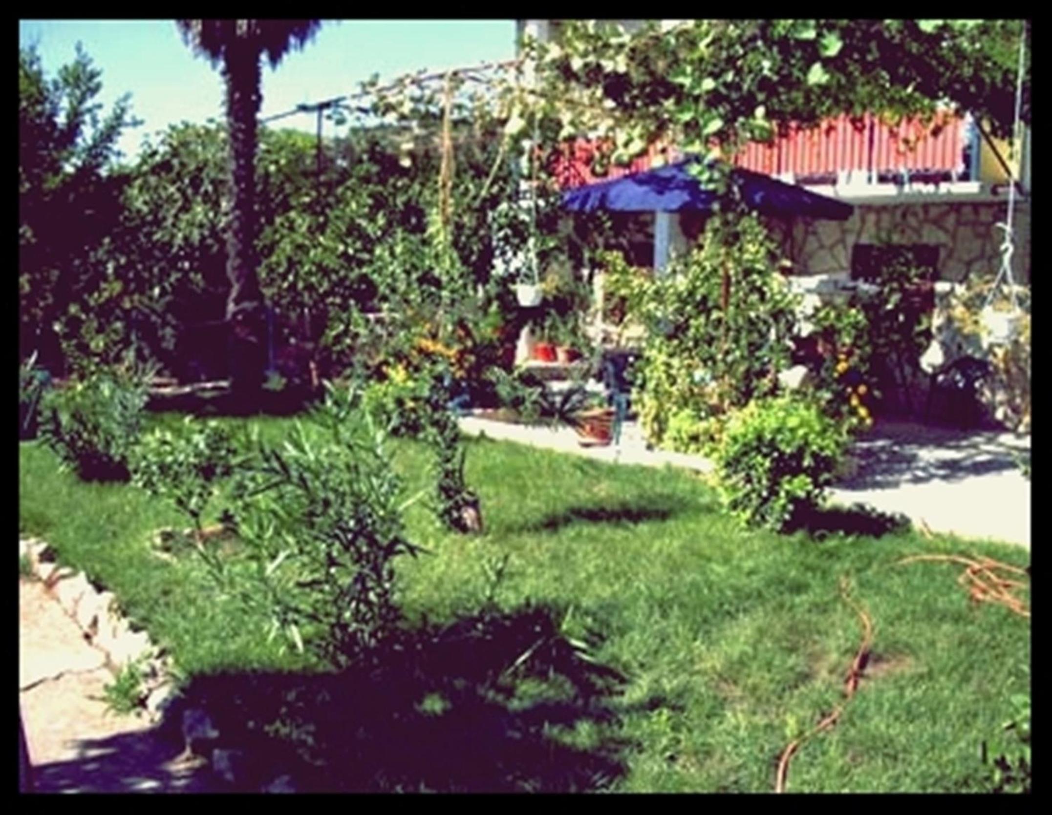 Apartment Zena view 3