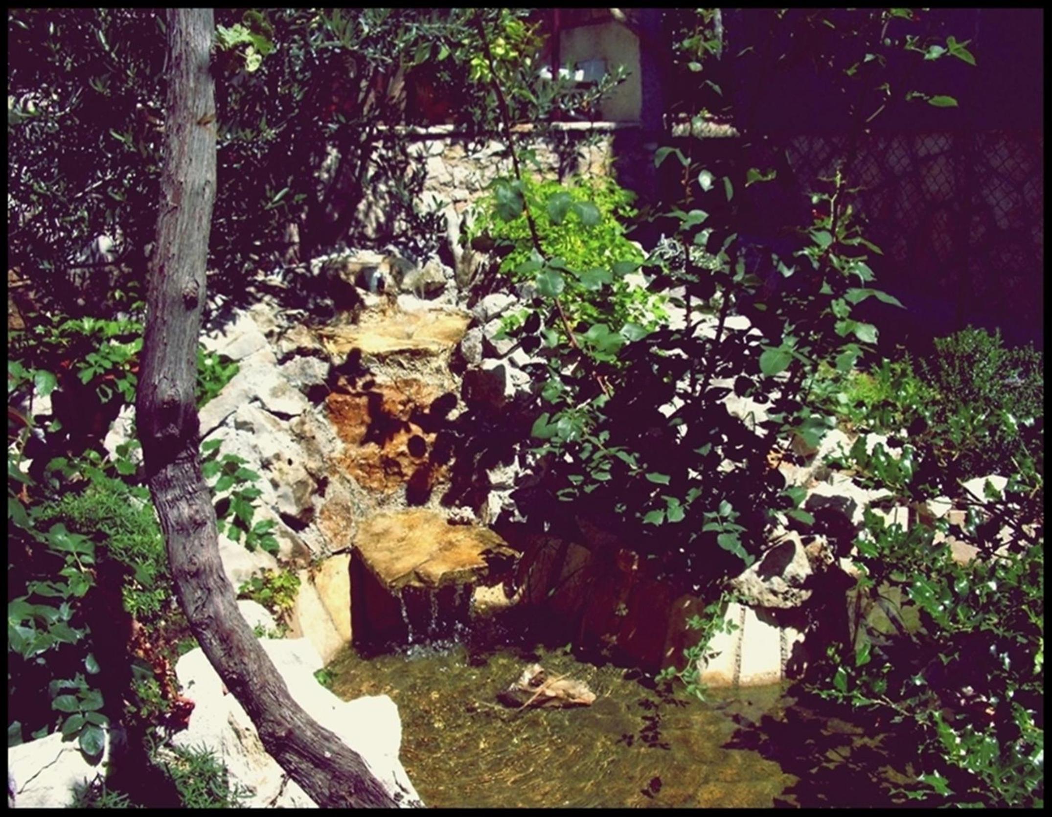Apartment Zena view 4